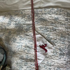 Atlanta Braves dog collar